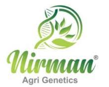 Nirman Agri Genetics Rights Issue 2024 Logo