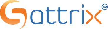 Sattrix Information Security Limited Logo
